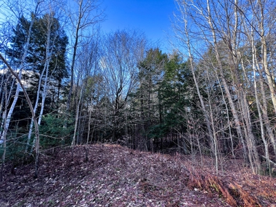 10 Acres of Maine Land for Sale - image 9