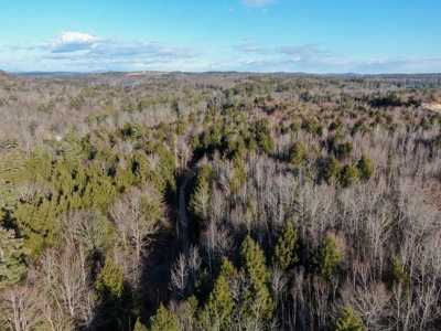 10 Acres of Maine Land for Sale - image 8