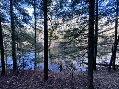 10 Acres of Maine Land for Sale - image 17
