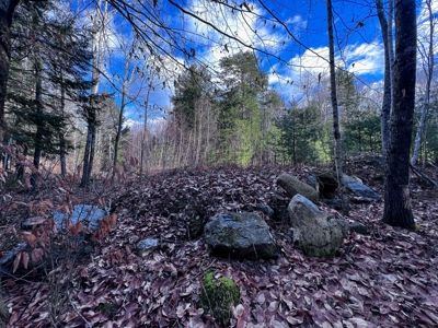 10 Acres of Maine Land for Sale - image 22