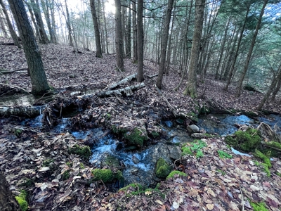 10 Acres of Maine Land for Sale - image 28