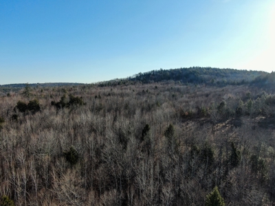 10 Acres of Maine Land for Sale - image 2