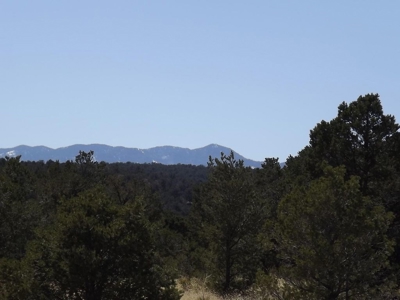 34± Acre Homesite for Sale in New Mexico's Manzano Mountains - image 4
