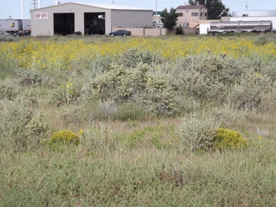 Prime Commercial Development Land in Moriarty, New Mexico - image 2