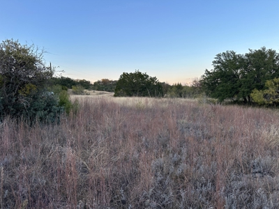 Home Lot 421 King's Point Cove Resort at Lake Brownwood, TX - image 7
