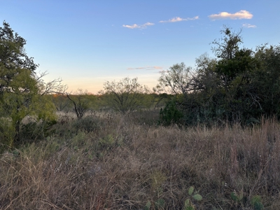 Home Lot 421 King's Point Cove Resort at Lake Brownwood, TX - image 11