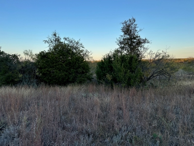 Home Lot 421 King's Point Cove Resort at Lake Brownwood, TX - image 8