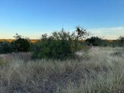 Home Lot 421 King's Point Cove Resort at Lake Brownwood, TX - image 3