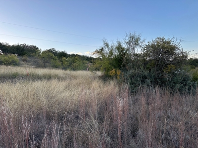 Home Lot 421 King's Point Cove Resort at Lake Brownwood, TX - image 6