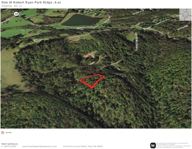 Wooded Land for Sale in Copper Hill VA - image 3
