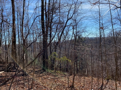 Wooded Land for Sale in Copper Hill VA - image 2