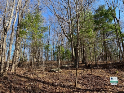 Wooded Land for Sale in Copper Hill VA - image 1