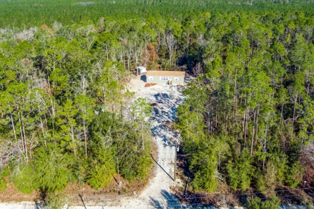 Country Home With 4 Acres In Suwannee County! - image 26