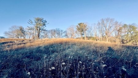 Land for Sale in Riner VA - image 7