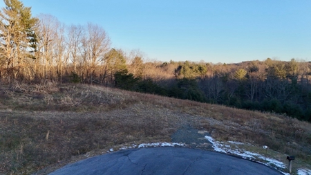 Land for Sale in Riner VA - image 2