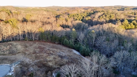 Land for Sale in Riner VA - image 4