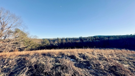 Land for Sale in Riner VA - image 8