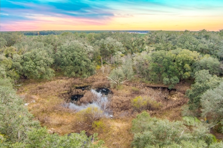 Beautiful Home For Sale Lafayette County !! - image 20