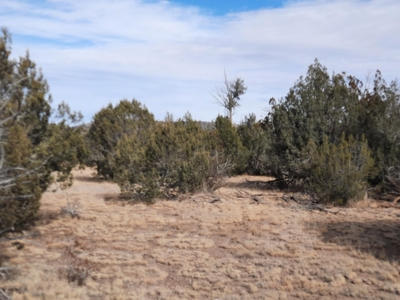 Rare Northern AZ off grid property. - image 4