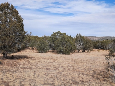 Rare Northern AZ off grid property. - image 3