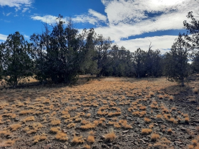 Rare Northern AZ off grid property. - image 5