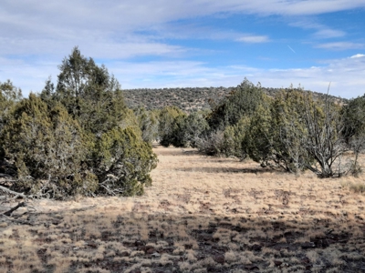 Rare Northern AZ off grid property. - image 1