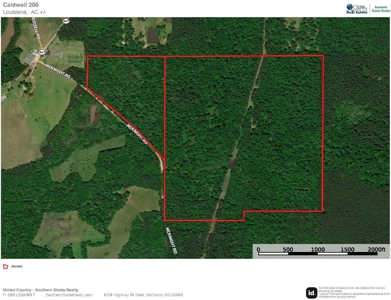 200+/- Acres hunting and timberland for sale in Clarks, LA - image 34
