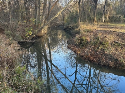 200+/- Acres hunting and timberland for sale in Clarks, LA - image 5