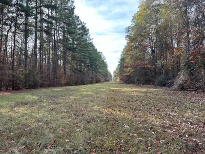 200+/- Acres hunting and timberland for sale in Clarks, LA - image 23