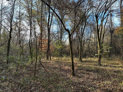 200+/- Acres hunting and timberland for sale in Clarks, LA - image 10