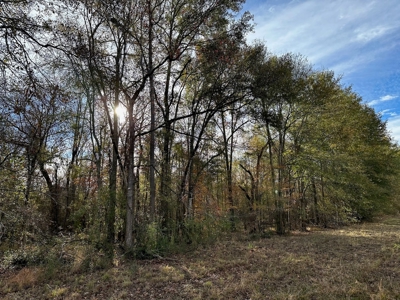 200+/- Acres hunting and timberland for sale in Clarks, LA - image 20