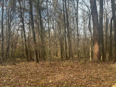 200+/- Acres hunting and timberland for sale in Clarks, LA - image 28