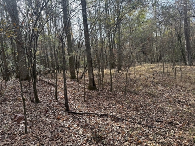 200+/- Acres hunting and timberland for sale in Clarks, LA - image 27