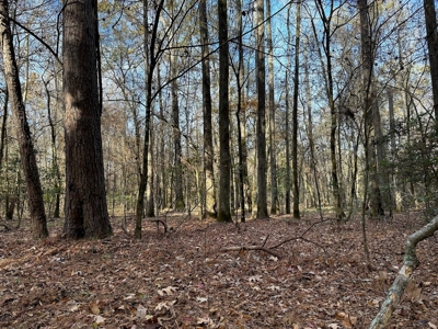 200+/- Acres hunting and timberland for sale in Clarks, LA - image 16