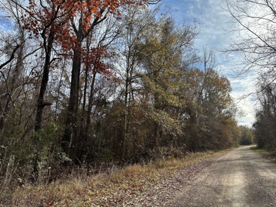 200+/- Acres hunting and timberland for sale in Clarks, LA - image 32