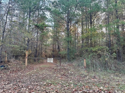 200+/- Acres hunting and timberland for sale in Clarks, LA - image 1