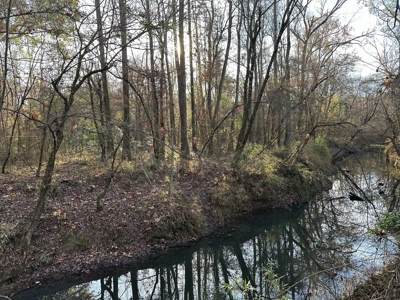 200+/- Acres hunting and timberland for sale in Clarks, LA - image 11