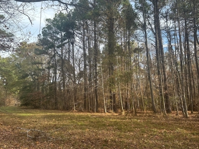 200+/- Acres hunting and timberland for sale in Clarks, LA - image 29