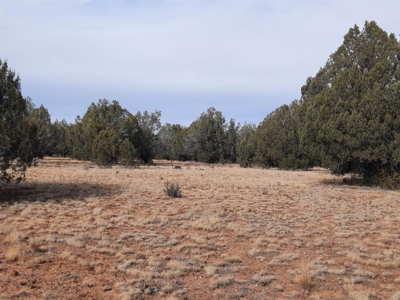 Northern AZ off grid 7.5 acre parcel. - image 11