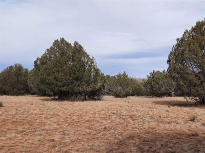 Northern AZ off grid 7.5 acre parcel. - image 9