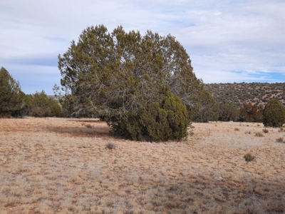 Northern AZ off grid 7.5 acre parcel. - image 6