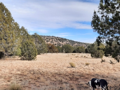 Northern AZ off grid 7.5 acre parcel. - image 10
