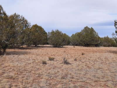 Northern AZ off grid 7.5 acre parcel. - image 5