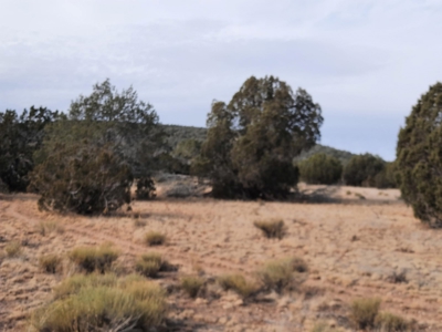 Northern AZ off grid 7.5 acre parcel. - image 3