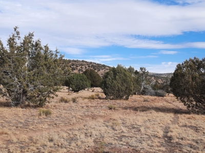 Northern AZ off grid 7.5 acre parcel. - image 4