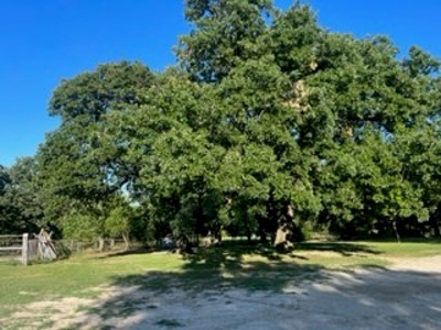 Home on Acreage For Sale in Ada, Oklahoma - image 32