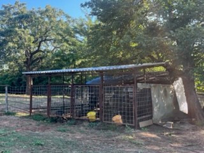 Home on Acreage For Sale in Ada, Oklahoma - image 38