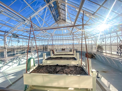 Country Home on Acreage For Sale near Lewistown, Montana - image 27