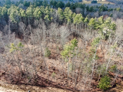 Buildable Lot in Southern Maine - image 3