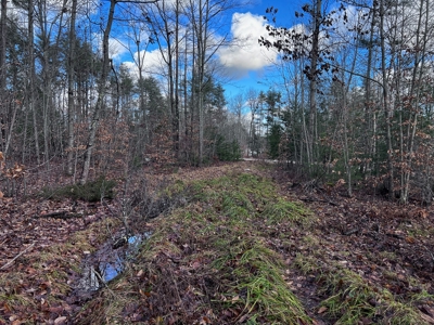 Buildable Lot in Southern Maine - image 12
